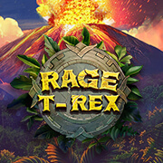 Wild Reels slot game